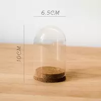 美帮汇软木塞玻璃罩 装饰摆件微景观干花标本公仔玩偶瓶DIY C(6.5cmX10cm)