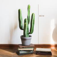 美帮汇仿真大型仙人掌盆景仙人柱墨西哥天轮柱装饰摆件落地 Hylocereinae龙神木65cm
