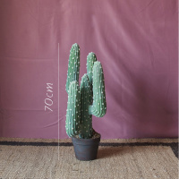 美帮汇仿真大型仙人掌盆景仙人柱墨西哥天轮柱装饰摆件落地 Pachycereus武伦柱