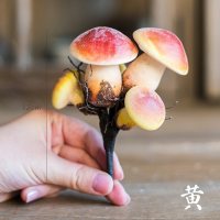 美帮汇仿真蘑菇花 艺搭配装饰道具 森林绿植装饰摆件插花艺术 黄蘑菇一簇