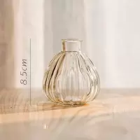 美帮汇小型玻璃器皿小花瓶花器 透明干花插花小号水培客厅装饰摆件 小南瓜