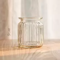 美帮汇小型玻璃器皿小花瓶花器 透明干花插花小号水培客厅装饰摆件 经典竖纹瓶