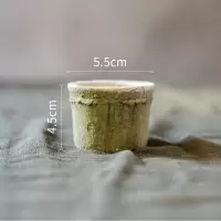 美帮汇自然生长青苔红陶花盆经典素朴日式风格种植器皿杂货花园 M 大