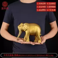 美帮汇铜大象摆件一对吸水象铜象工艺品店铺客厅大号 中号铜吸水象直鼻