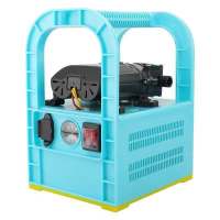 充电式水泵菜地浇菜充电水泵便携式家用户外浇菜手提式抽水泵电瓶泵小型抽水机打药泵 含电瓶+全套配件+100米水管