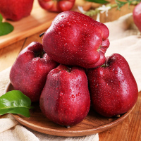 甘肃天水花牛苹果5斤尝鲜装单果果径70-75mm新鲜水果