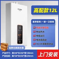 12升典雅白+四键高清大屏+智3 半球恒温煤气天燃气热水器家用洗澡液化气天然气煤电强排式12升16定制商品