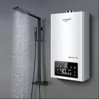 半球燃气热水器天然气12升恒温强排式天燃气,变频恒温加厚无氧铜水箱(非浴室安装款)