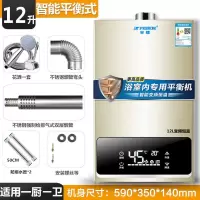 平衡式12升+浴室专用+ 可装浴室 天然气 半球燃气热水器电家用天然气恒温煤气定制商品
