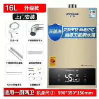 16升升级款+加厚水箱+上门安装 加厚无氧铜水箱 液化 半球家用燃气即热式热水器天然气12L升恒温强排式16L升浴