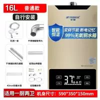 普通款16升+恒温+ 断电记忆+节能 天然气 半球变频恒温燃气热水器家用天然气定制商品