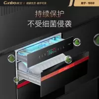 康宝 Canbo 消毒柜家用 消毒柜嵌入式 消毒碗柜 厨房餐具碗筷二星级高温 负离子杀菌 婴儿奶瓶 XDZ100-EF1