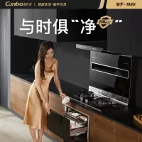康宝(Canbo)消毒柜家用 消毒柜嵌入式 三层二星高温 厨房餐具碗筷杯具 婴儿奶瓶 消毒碗柜 XDZ100-EQ1 [