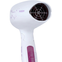 飞科(FLYCO )电吹风机家用小功率护发吹风筒小型便携可折叠宿舍学生不伤发旅行酒店用 白色标配[600W-1200w