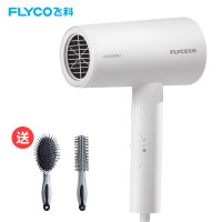 飞科(FLYCO) 电吹风 家用负离子大功率吹风筒可折叠便携式吹风机FH6276 FH6276+气垫梳套装