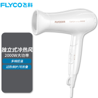 飞科(FLYCO)电吹风机吹风家用大功率吹风筒冷热风大风2000W 标配