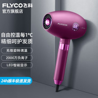 飞科(FLYCO)电吹风机家用高浓度负离子护发大功率轻音专业发型师学生吹风筒FH6286 [1800W速干]FH6286