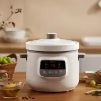 小熊(Bear)电炖锅电炖盅煲汤锅煮粥锅可预约多功能宝宝辅食锅 DDG-D30H5 3L白瓷内胆丨9.5小时预约