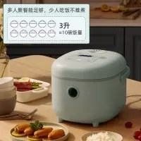 小熊(Bear)迷你3L电饭煲家用智能预约电饭锅多功能小容量2人3人4人煮饭煮粥锅DFB-B30R1 奶绿家庭3L