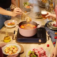 小熊(Bear)电磁炉电陶炉煮茶大功率低辐射内外双环家用2200W电磁灶电火锅炉 DTL-A22G2 DTL-A22G2
