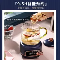 荣事达(Royalstar)养生电炖杯家用小型煮茶器多功能煮粥热牛奶宿舍加热水杯 YSC05T2(粉色) 宝石蓝 | 养