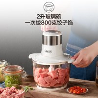 小熊(Bear)绞肉机家用 绞馅机 碎肉机 电动多功能料理搅拌机打肉机饺子肉馅蒜蓉机 搅肉机 2L简约时尚 QSJ-C0