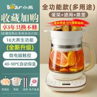 小熊养生壶办公室迷你小型煮茶壶全自动加厚玻璃煮茶器家用多功能 升级款+蛋架+[滤网]+[蒸笼]+3年只换不修