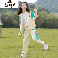 女童秋装套装2022新款洋气大童女装网红衣服春秋季运动两件套十岁 七色王国