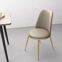 餐椅现代简约客厅休闲椅家用餐厅餐台椅轻奢靠背椅办公会客椅