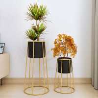 花架铁艺花盆架现代简约花盆室内客厅落地式绿萝吊兰盆栽架子