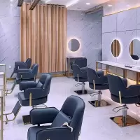 美发店椅子发廊专用剪发椅高档简约高端升降剪发椅椅子