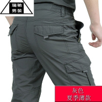 希杰狮王登山裤弹力速干防泼水大码户外运动高腰男多口袋休闲工装冲锋长裤