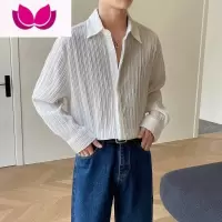 七斓轻奢长袖衬衫男高级感韩版宽松春季潮流ins痞帅休闲轻熟免烫衬衣