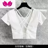 七斓高端瑜伽服套装女夏短袖时尚气质紧身显瘦薄款专业运动网红健身服