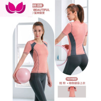 七斓瑜伽服套装女2023新款短袖普拉提高级感运动瑜伽上衣高端健身服女