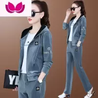 七斓职业套装女秋季时尚女装秋装2023年新款早秋金丝绒休闲运动服