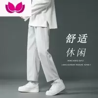 七斓卫裤男士灰色百搭春装直筒裤休闲裤日系宽松垂坠感裤子
