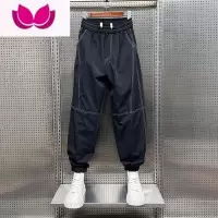 七斓2022夏季薄款冰丝速干休闲裤男大码宽松哈伦裤胖子九分裤潮牌痞帅