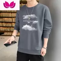 七斓卫衣男士2023新款圆领百搭休闲长袖打底衫上衣服