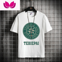 七斓夏季半袖男士短袖t恤潮牌ins港风宽松潮流圆领薄款印花打底衫