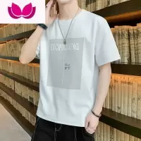 七斓广州十三行夏季男士冰丝薄款短袖t恤打底衫宽松半袖体恤男装衣服