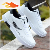 FISH BASKET夏季校园服运动裤搭配板鞋学院休闲初中生高中学生青少年男鞋子