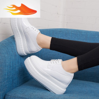 FISH BASKET小码女鞋厚底小白鞋秋冬季内增高9cm系带厚底松糕鞋女休闲女单鞋