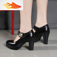 FISH BASKET模特旗袍走秀高跟鞋防水台大码粗跟女鞋小圆头黑色职业单鞋工作鞋