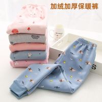 儿童保暖裤中大童男童女童小孩加绒加厚一体打底保暖裤冬季绒裤威珺