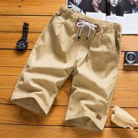 短裤男士五分裤夏天男士休闲裤子男士宽松夏季运动学生沙滩裤大裤衩 威珺