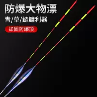 纳米大浮力吃铅大物远投浮漂矶钓立滑漂草鱼青鱼鲢鳙深水库鲟鱼漂