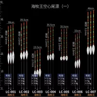 醒目加粗空心尾纳米浮漂近视鲫鱼鲤鱼老人鱼漂垂钓用品野钓漂