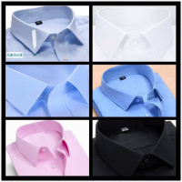 职业银行休闲白色假领子男女通用条纹衬衫领毛衣装饰领方领尖领威珺