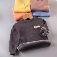 儿童加绒保暖衣男女童打底衫单件上衣0-5岁宝宝保暖内衣1婴儿秋衣威珺